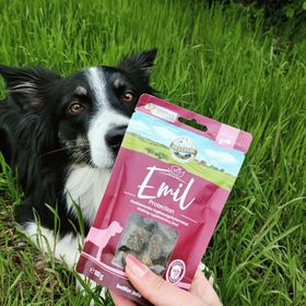 Emil Protection – Köstliche Hundesnacks mit Lachs für starke Abwehrkräfte Bellfor