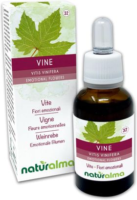 Naturalma Weinrebe Vitis vinifera Tropfen