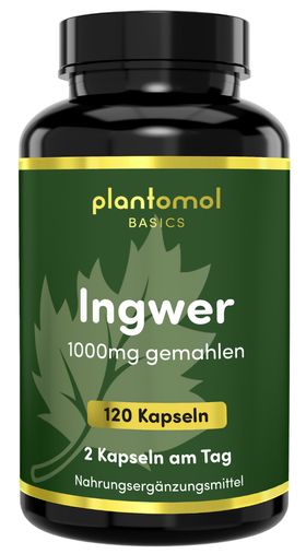plantomol® Basics - Ingwer Kapseln mit 1000mg gemahlenem Ingwer - 2-Monatsvorrat