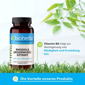 Bioherba Rhodiola (Rosenwurz) Extrakt Kapseln