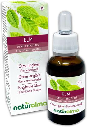 Naturalma Englische Ulme Ulmus procera Tropfen
