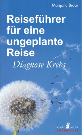 Reiseführer für eine ungeplante Reise
