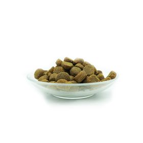 Bellfor Glutenfrei Hundefutter für sportliche Hunde - PREMIUM PUR Aktiv