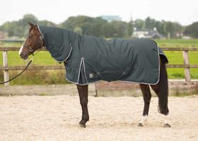 Equitheme Tyrex Outdoordecke