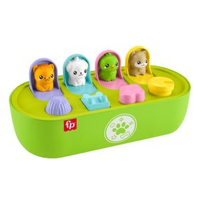 Mattel Fisher-Price FP Pets Pop-up-Aktivitätsspielzeug für Feinmotorik, entwicklungsförderndes Sp