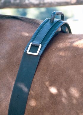 AMKA Longiergurt Reitgurt