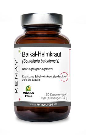 Baikal-Helmkraut Scutellaria baicalensis | KENAY®