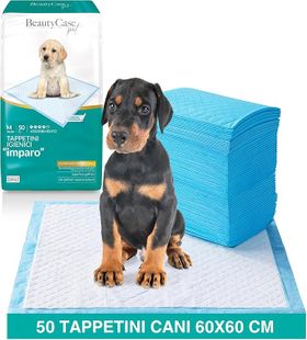 Beauty Case Pet Trainingsunterlagen für Hunde Absorption 4/5
