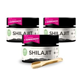 VitalizeNature Shilajit mit Ashwagandha