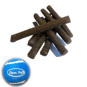Lyra Pet® Hundesticks mit Insekten + Tennis Ball