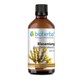 Bioherba Blasentang  Fucus vesiculosus L.  Tropfen  Tinktur Extrakt
