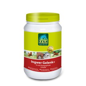 LEXA Pferdefutter Ingwer Gelenk+