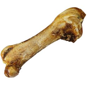 Schecker Kausnack - Riesen Straußenknochen XXL