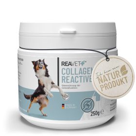 Collagen Reactive - ReaVET