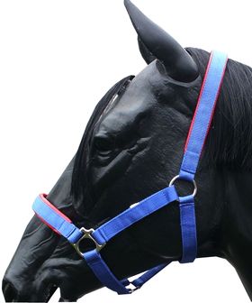 Nylonhalfter blau/rot unterlegt, Gr. C/S = Vollblut