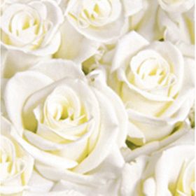 Dunisoft Servietten 40x40