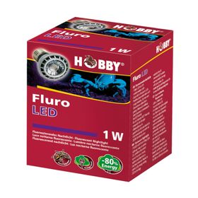 Hobby Fluro LED - Fluoreszierendes Nachtlicht