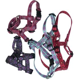 Weaver Hundehalsband Hunt & Sport Plus Premium Geschirrleder, 2,5 cm breit