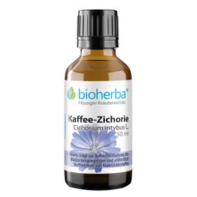 Bioherba Kaffee-Zichorie  Cichorium intybus L.  Tropfen  Tinktur Extrakt