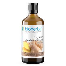 Bioherba Ingwer Zingiber officinale Tropfen Tinktur