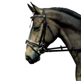 Hubertus Zaum Elegance