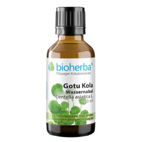 Bioherba Gotu Kola Wassernabel Tropfen  Tinktur Extrakt