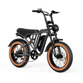 PVY A20 All-Terrain-E-Bike mit 48V 20Ah Akku
