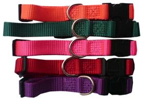 Weaver Hundehalsband Hunt & Sport Plus Premium Geschirrleder, 2,5 cm breit