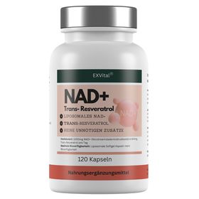 EXVital® NAD+ Kapseln, hochdosiert 1000mg NAD+ & 600mg Trans-Resveratrol pro Tag