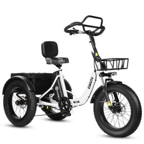ESKUTE T302 Pro Elektrisches Lastendreirad, 48V 20,8Ah Akku
