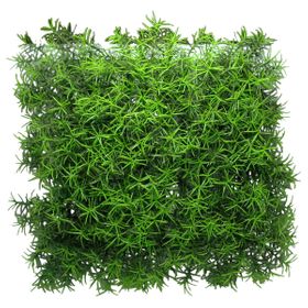 Lucky Reptile - Flora Mat - Asparagus