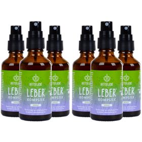 BitterLiebe - Leber Spray - natürliche Unterstützung der Leberfunktion mit Cholin und Bitterstoffen