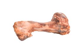 123... Hund dabei! - Rinder-Knochen L