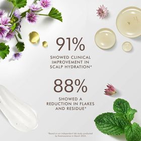 Moroccanoil Scalp Balancing Conditioner 250 ml