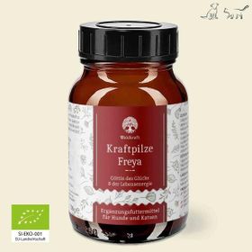 Waldkraft Kraftpilze Freya Vitalpilz Synergetikum - 100g - 0,1 Kilogramm