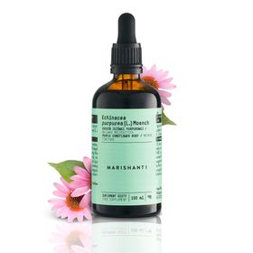 Marishanti Echinacea Extrakt – alkoholfrei