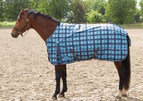 Harry`s Horse Horten Outdoordecke