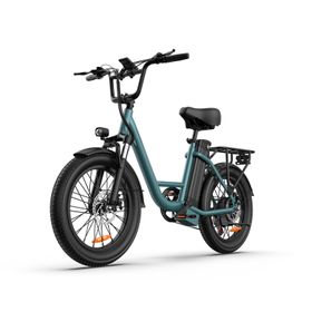 URLIFE E20 Pendler-Elektrofahrrad, 250-W-Motor, 48-V-13-Ah-Akku