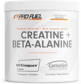 ProFuel - Creatin Monohydrat + Beta-Alanin 300g