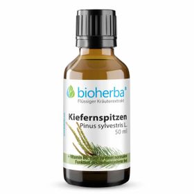Bioherba Kiefernspitzen  Pinus sylvestris L.  Tropfen  Tinktur Extrakt