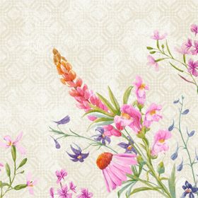 6x Serv.40x40 4lg Klassik Floret 50P.