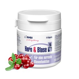 GIGI VET Harn & Blase