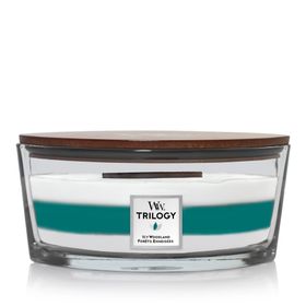 WoodWick - Trilogy Ellipse Kerzen - Icy Woodland