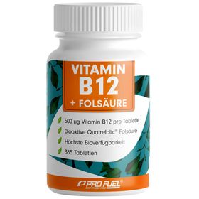 ProFuel - VITAMIN B 12 + Folsäure