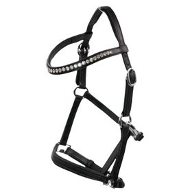 AMKA Fohlenhalfter Show Vorführhalfter aus Leder mit Glitzer Stirnband