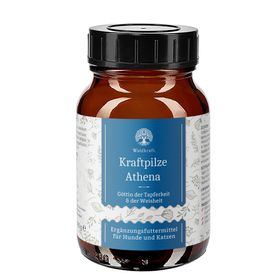 Waldkraft Kraftpilze Athena – Vitalpilz Synergetikum