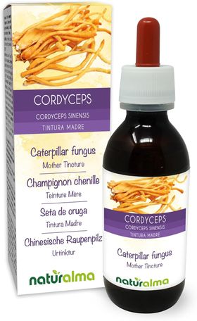 Naturalma Chinesische Raupenpilz Cordyceps sinensis  Flüssig Extrakt