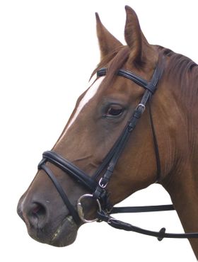 AMKA Trensenzaum Biancho