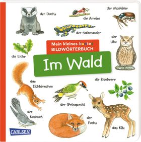 Mein kleines buntes Bildwörterbuch: Im Wald