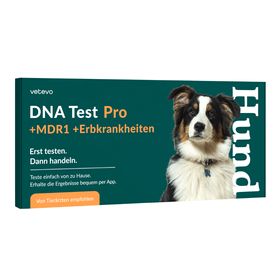 DNA Test Rassebestimmung Pro +MDR1 +Erbkrankheiten Hund